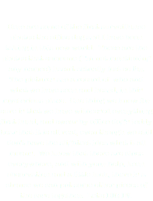 LET'S START HERE Here are some of the first surveillance photos the office dog and I have been taking in this new world. These are the photos that someone (I'm not mentioning any names) hasn't actually lost so far. The pictures are a record of who and what we have seen and heard, in this mysterious place. One thing we know for sure is that we have witnessed everything first hand, and swear by office dog's teddy bear that it is all real, even though we still don't have the slightest idea what it all means. We know that there are clues everywhere, and with your help, keen observation and a little luck, there is a chance we can put some other pieces of the case together. Let's DIG IN.