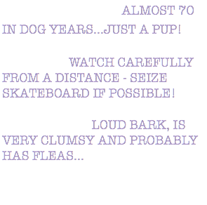 DESCRIPTION: ALMOST 70 IN DOG YEARS...JUST A PUP! ACTION: WATCH CAREFULLY FROM A DISTANCE - SEIZE SKATEBOARD IF POSSIBLE! WARNING: LOUD BARK, IS VERY CLUMSY AND PROBABLY HAS FLEAS... 